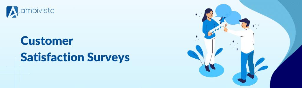 Customer Satisfaction Surveys